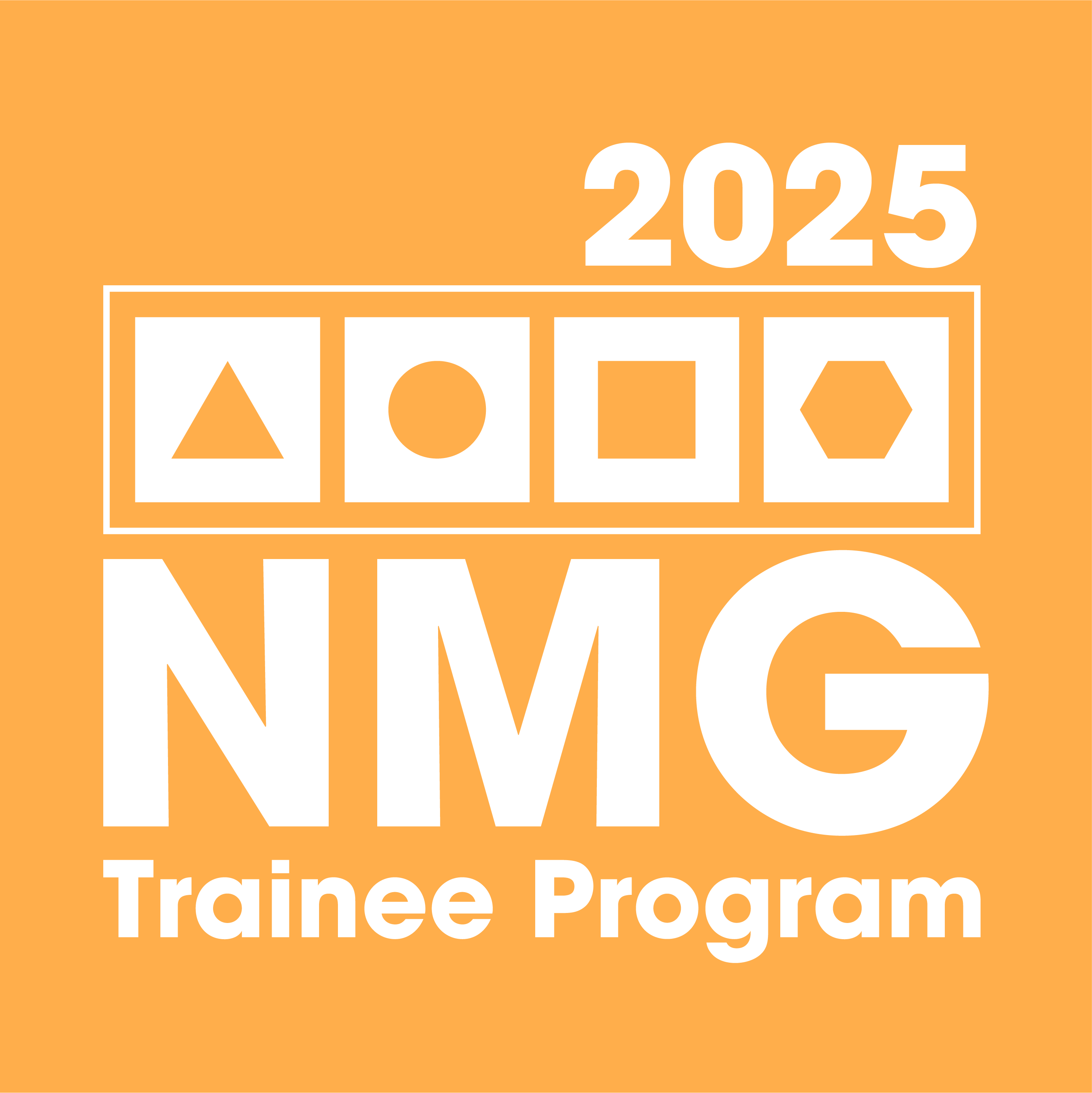 2024 NMG Trainee Program